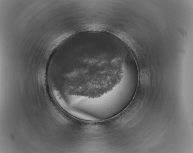 X0000113280581200910131007