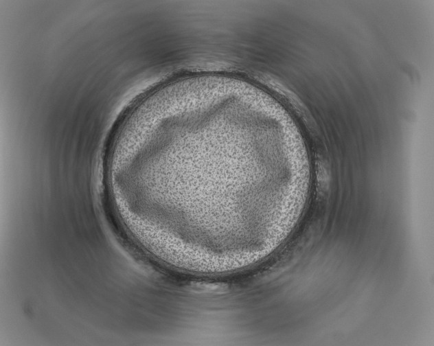 X0000113280582200910131007