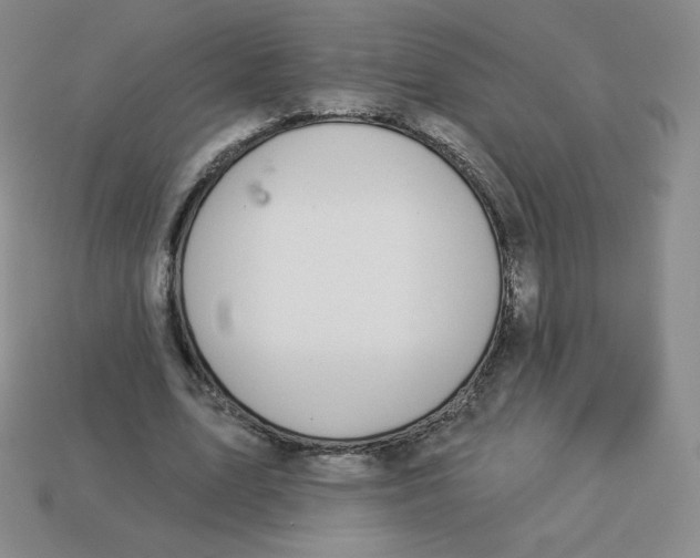 X0000113280583200910131007