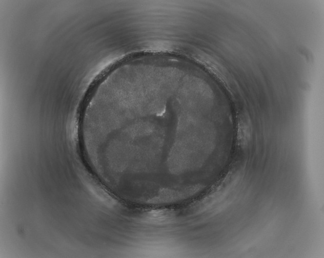 X0000113280584200910131007