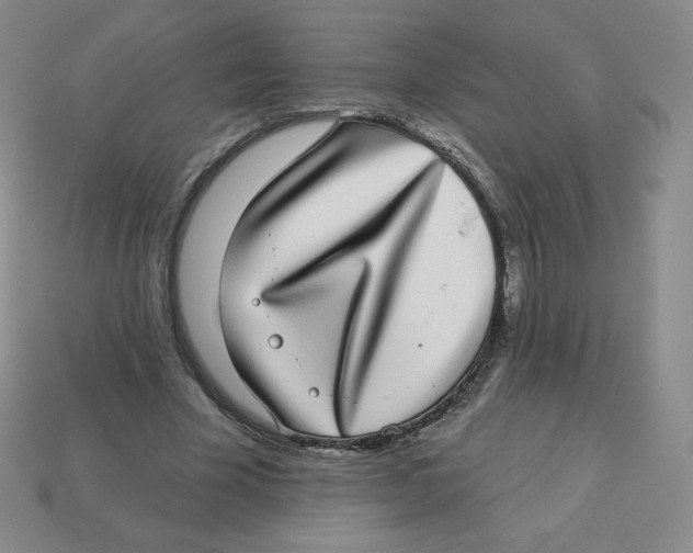 X0000113280585200910131007