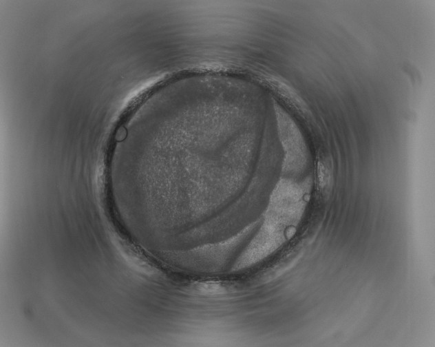 X0000113280588200910131007