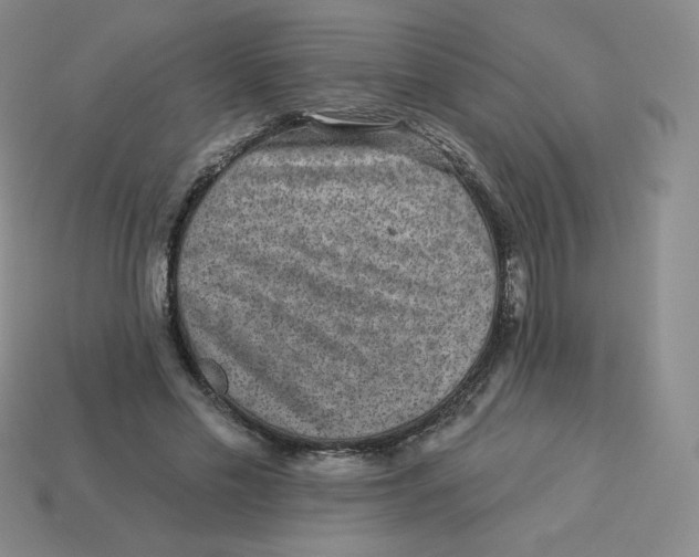X0000113280589200910131007
