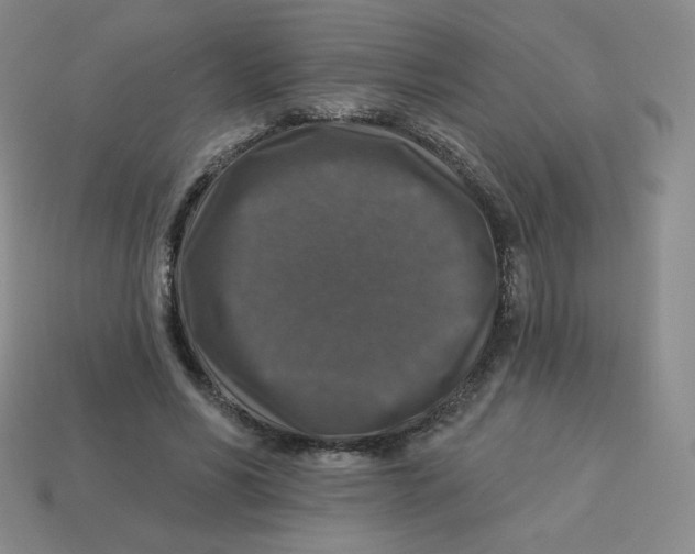 X0000113280590200910131007