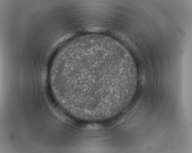 X0000113280591200910131007