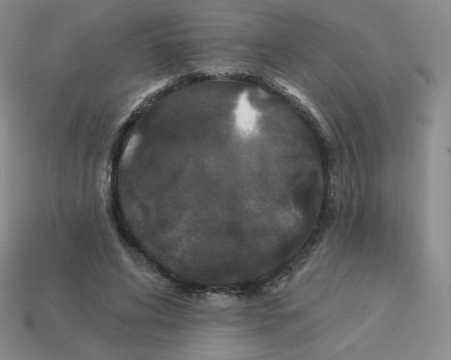 X0000113280592200910131006