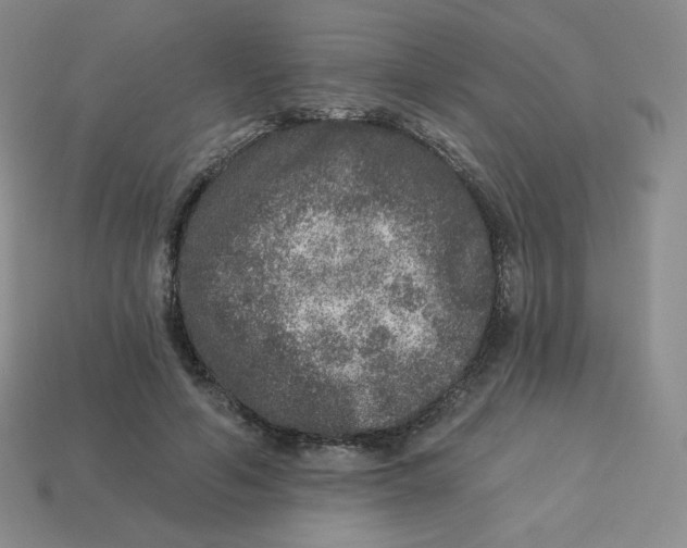 X0000113280594200910131006