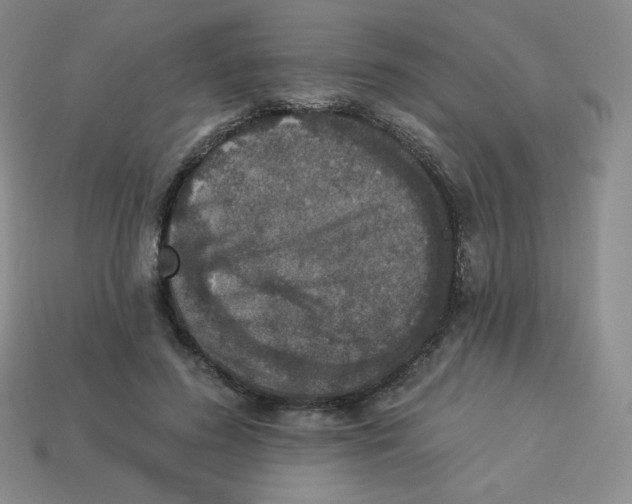 X0000113280596200910131006