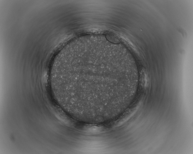 X0000113280597200910131006