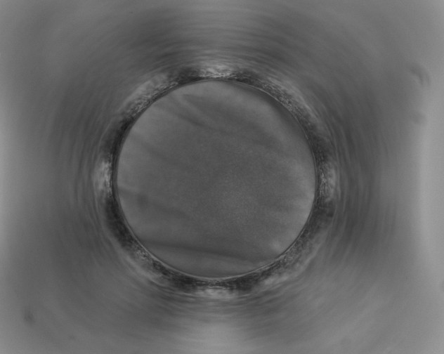 X0000113280598200910131006