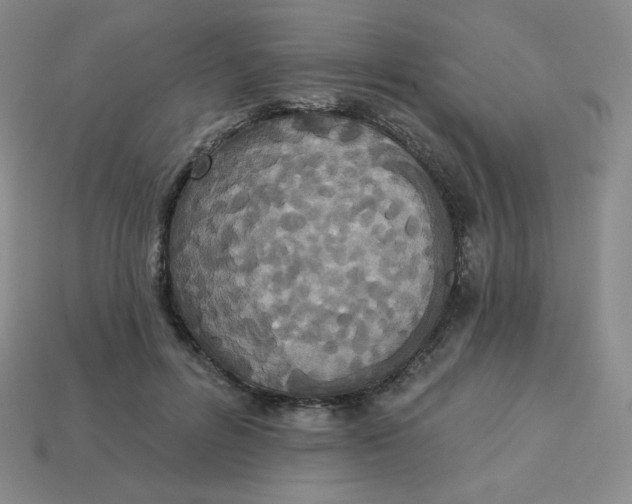 X0000113280600200910131006