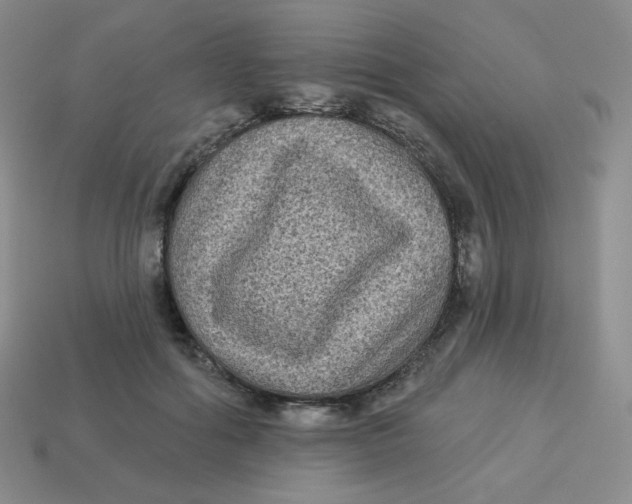 X0000113280602200910131006