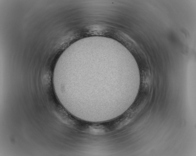X0000113280603200910131006