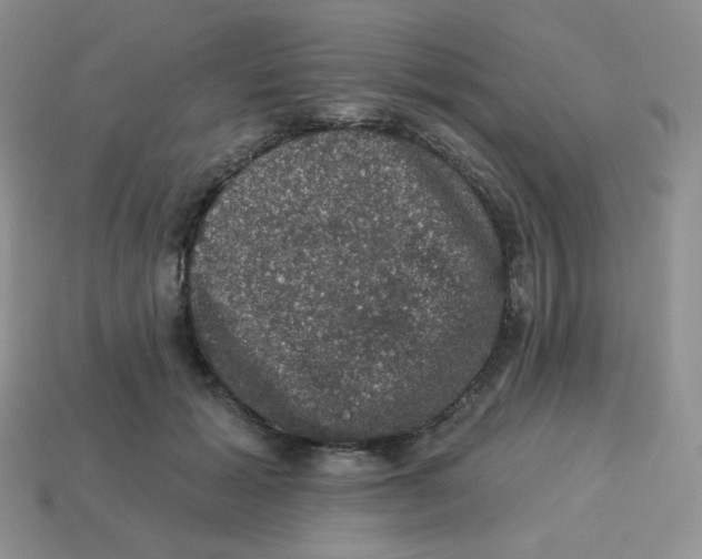 X0000113280605200910131006