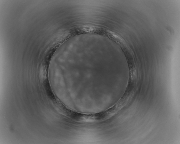 X0000113280606200910131006