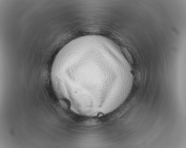 X0000113280609200910131006