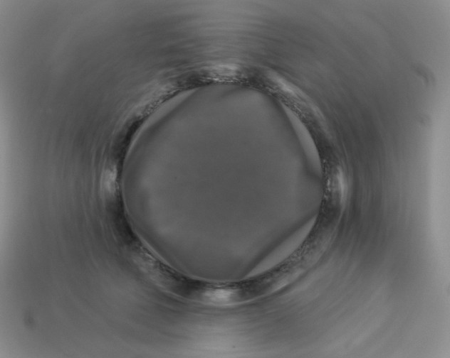 X0000113280610200910131006
