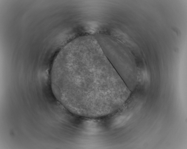 X0000113280611200910131006