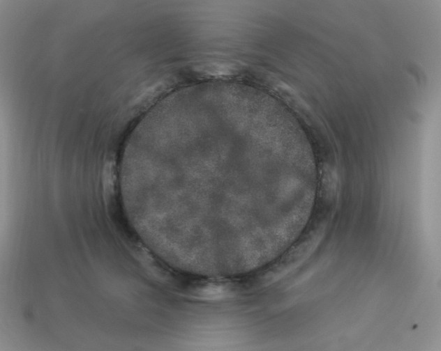 X0000113280612200910131006