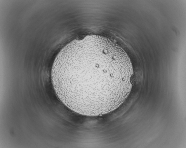 X0000113280613200910131006
