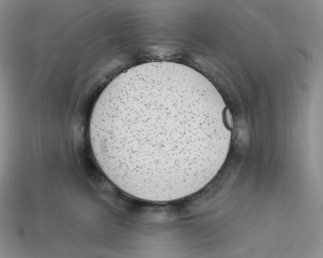 X0000113280615200910131006