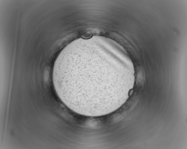 X0000113280616200910131006