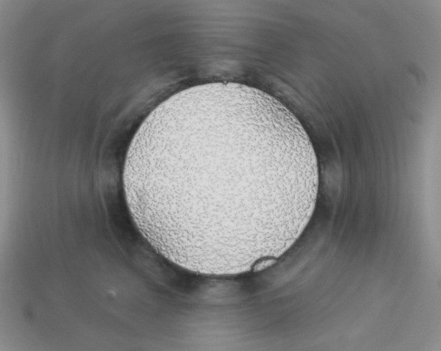 X0000113280617200910131006