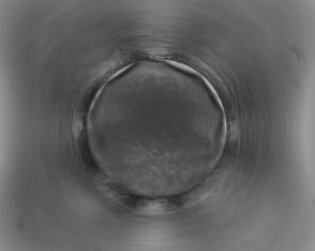 X0000113280618200910131006