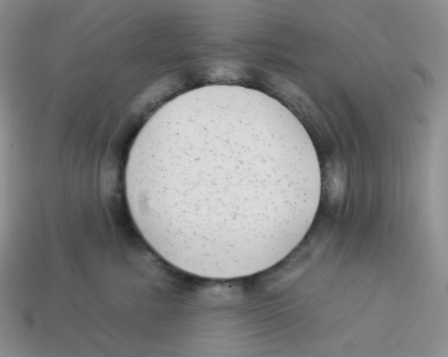 X0000113280619200910131006