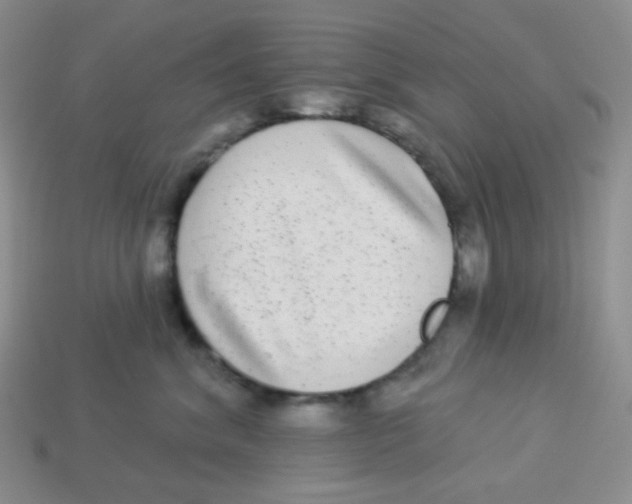 X0000113280620200910131006
