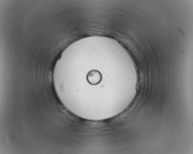 X0000113280621200910131006