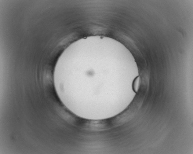 X0000113280622200910131006