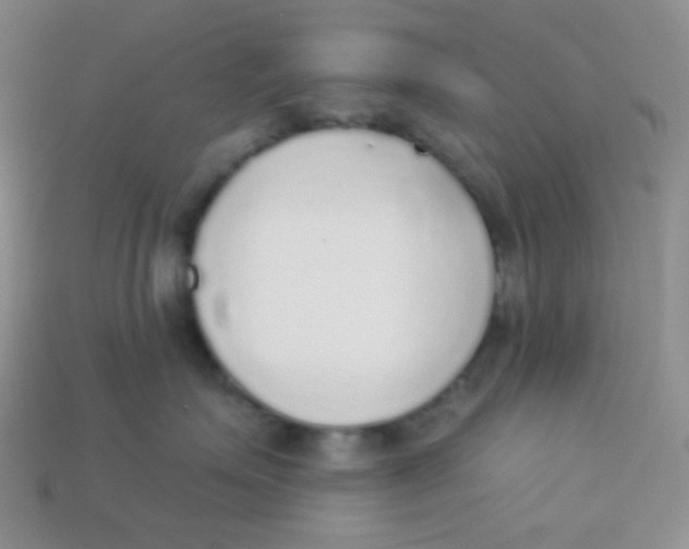 X0000113280623200910131006