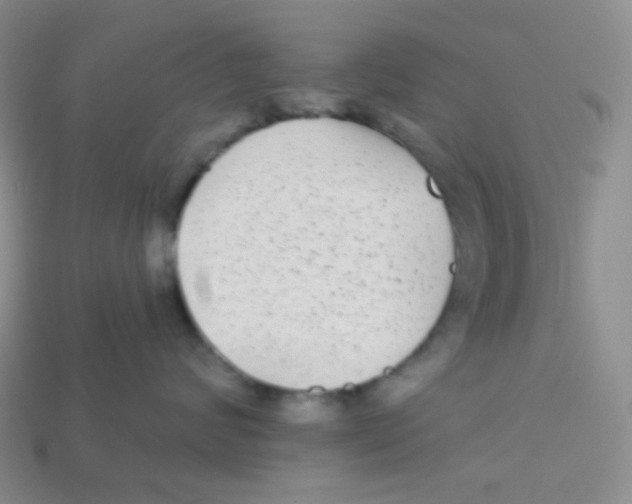 X0000113280624200910131006