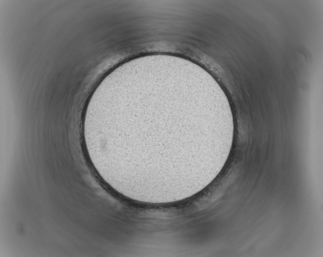 X0000113280625200910131005