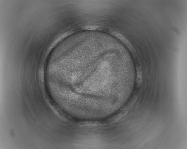 X0000113280626200910131005