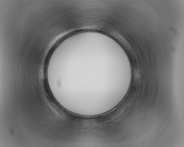 X0000113280628200910131006