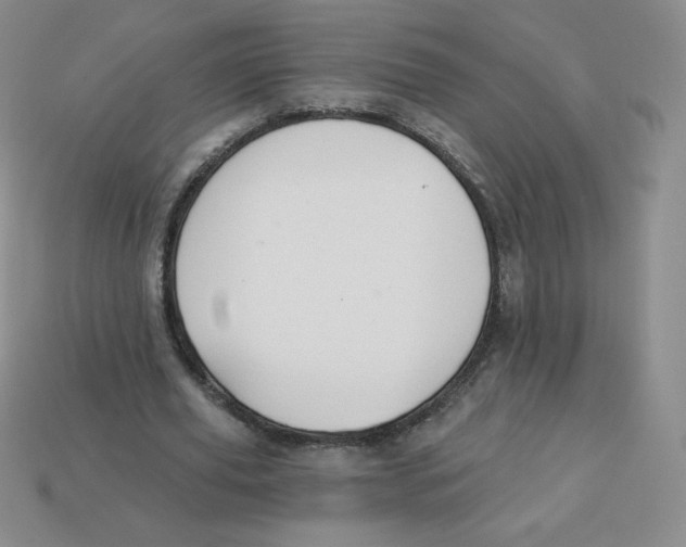 X0000113280629200910131006
