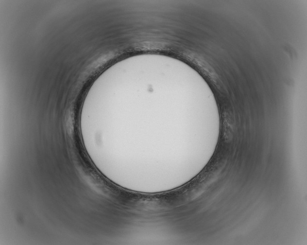 X0000113280631200910131006