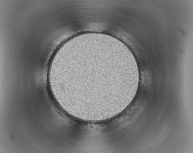 X0000113280632200910131006
