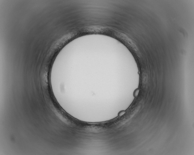 X0000113280633200910131006