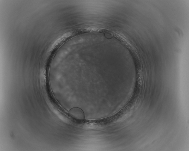 X0000113280634200910131006