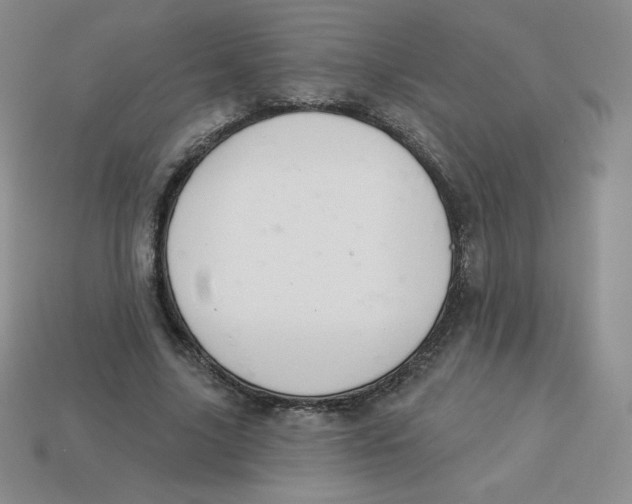 X0000113280635200910131006