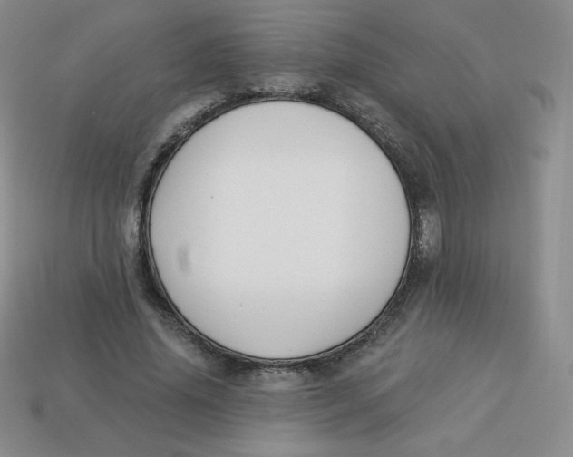 X0000113280636200910131006