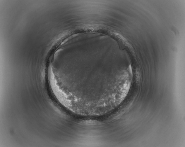 X0000113280637200910131006