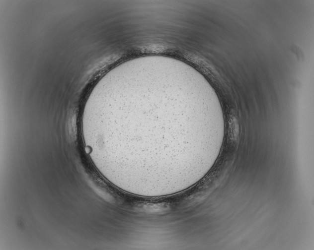X0000113280638200910131006