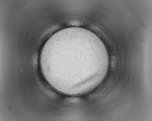 X0000113280639200910131006