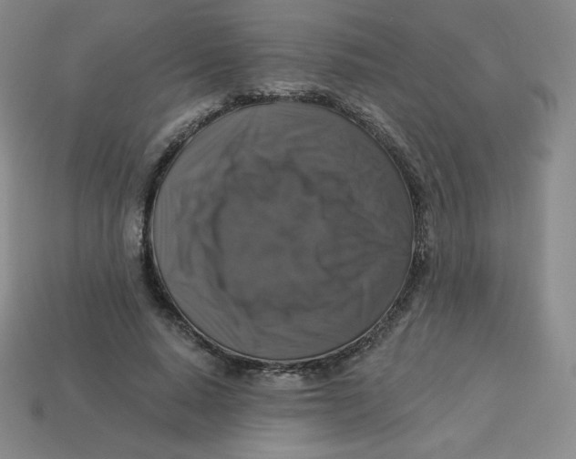 X0000113280640200910131006