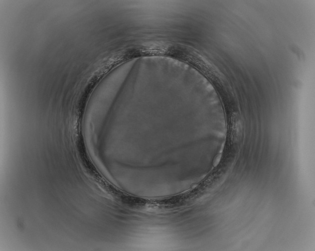 X0000113280641200910131006