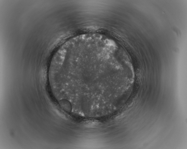 X0000113280642200910131006